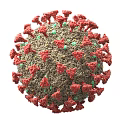 Virus Bacteria Research Drawing Biochemistry Protease Cell 3d model