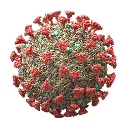 Structure Of A Viral Particle With Spike Proteins 3d model Structure Of A Viral Particle With Spike Proteins 3d model