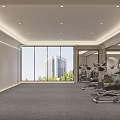 Spacious Fitness Gym With Modern Exercise Equipment Large Windows Urban View And Gray Carpet
