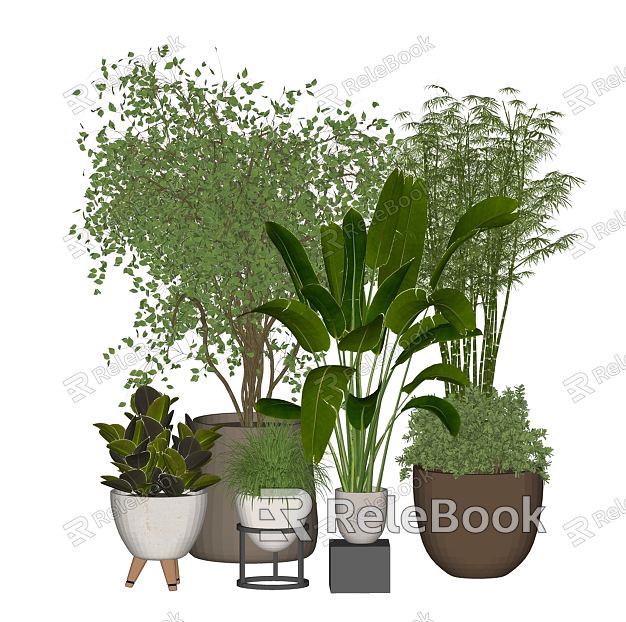 Modern Potted Plant Green Plant Bonsai Plant Green Plant Ornaments model