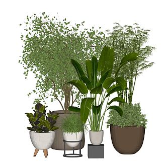 Modern Potted Plant Green Plant Bonsai Plant Green Plant Ornaments 3d model