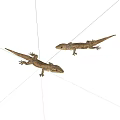 Reptile gecko 3d model
