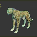 Realistic Cheetah Model With Spotted Coat Standing On Dark Reflective Surface 3d model
