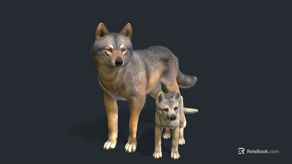 Realistic Adult Wolf And Baby Wolf Standing Together On Dark Background 3d model 