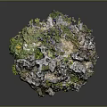 Natural Wood And Stone Rock Structure Decorated With Moss And Green Plants