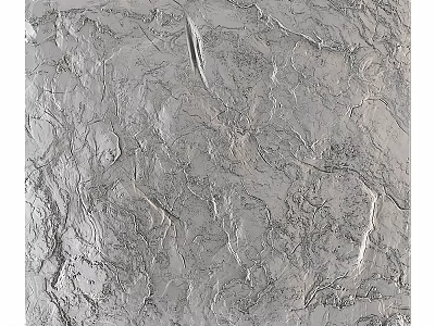 Gray Textured Wall Decor With Natural Patterns For Interior Design 3d model