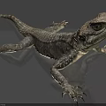 Reptile Lizard With Extended Limbs And Detailed Scaly Skin Resting On Gray Surface