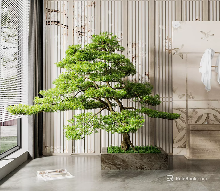 Large Bonsai Pine Tree In Modern Interior With Stone Planter And Decorative Wall 3d model