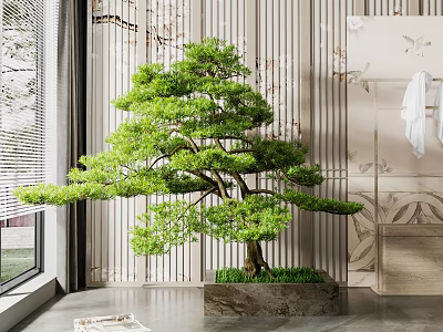 Large Bonsai Pine Tree In Modern Interior With Stone Planter And Decorative Wall 3d model