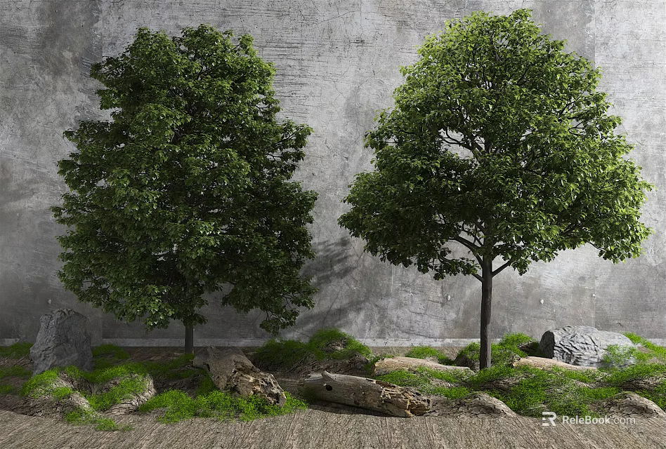 Lush Tall Trees Growing Against Gray Wall With Green Grass Stones And Logs 3d model 