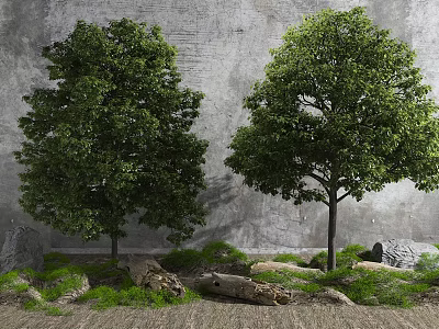 Lush Tall Trees Growing Against Gray Wall With Green Grass Stones And Logs 3d model