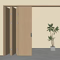 Poliform Wooden Folding Door with Sleek Frame Light Background and Green Plant in White Planter