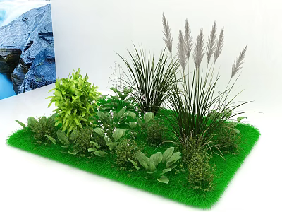 Diverse Plant Combination With Green Foliage Tall Grasses And Small Shrubs 3d model