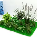 Diverse Plant Combination With Green Foliage Tall Grasses And Small Shrubs