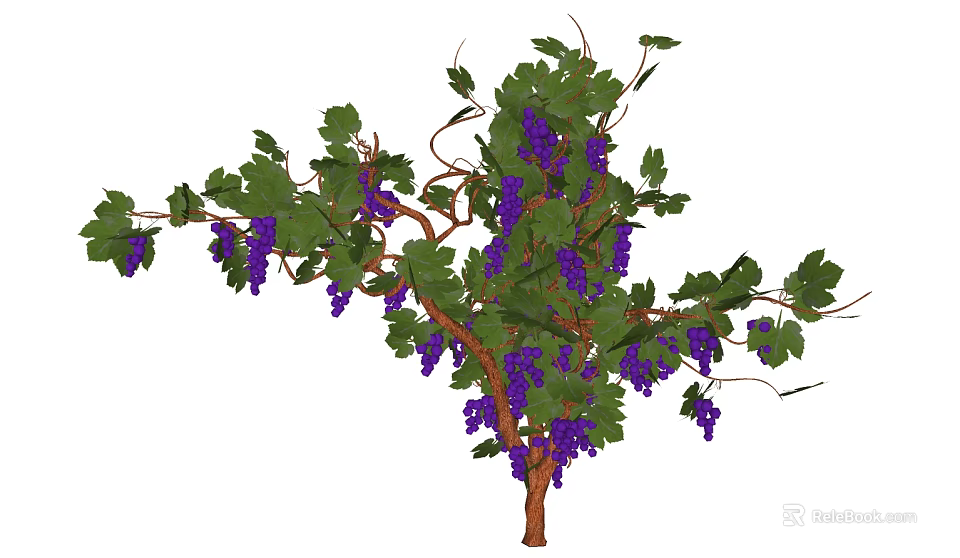 Fruiting Garden Arbor With Purple Grapes Green Leaves And Brown Branches 3d model 