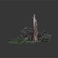 Natural Scene Featuring Tree Stump With Green Moss And Dead Branches 3d model