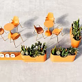 Outdoor Table Set with Orange Chairs and Planters Featuring Cacti on Gray Floor