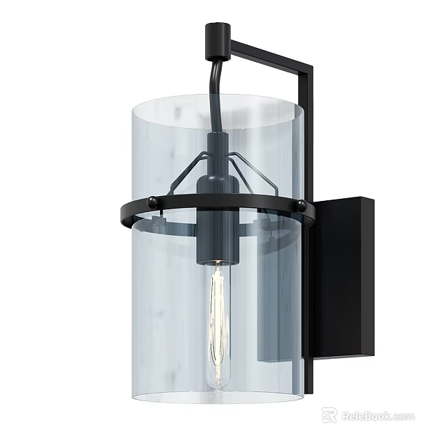 Modern Black Metal Wall Light With Transparent Glass Shade And Visible Bulb Design 3d model 