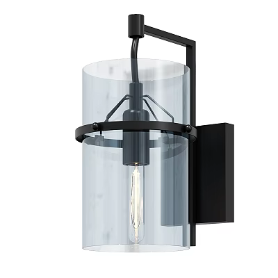 Modern Black Metal Wall Light With Transparent Glass Shade And Visible Bulb Design 3d model