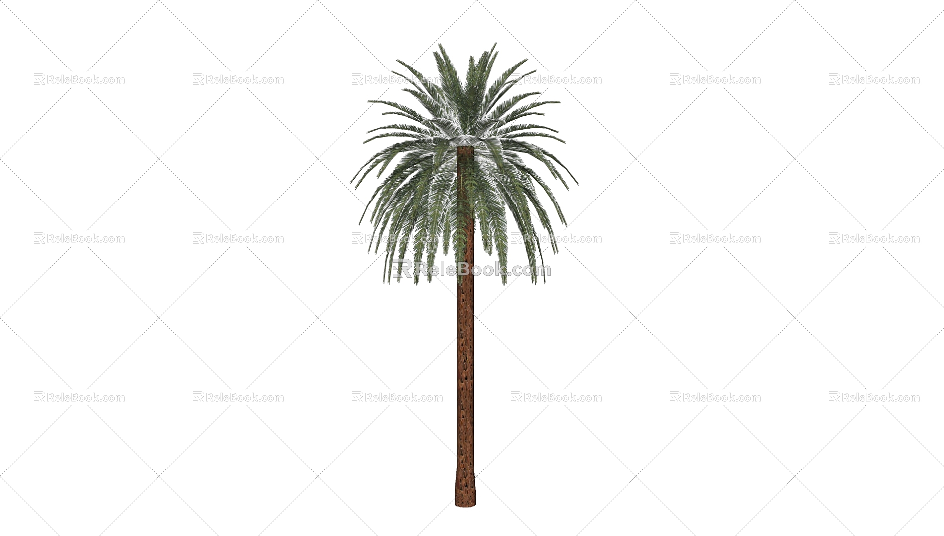 Palm Tree 3d model