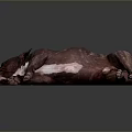 Brown And White Dog Lying On Its Side Against Dark Background