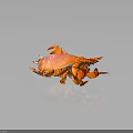 Vibrant Orange And Pink Crab With White Spots And Orange Claws On Dark Background