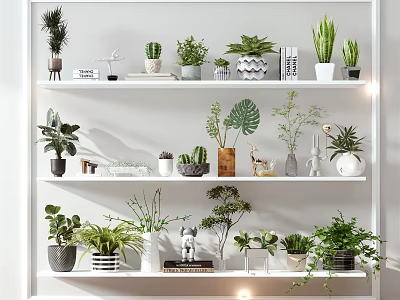Multi Layered White Shelves With Diverse Potted Plants Succulents And Decor Items 3d model