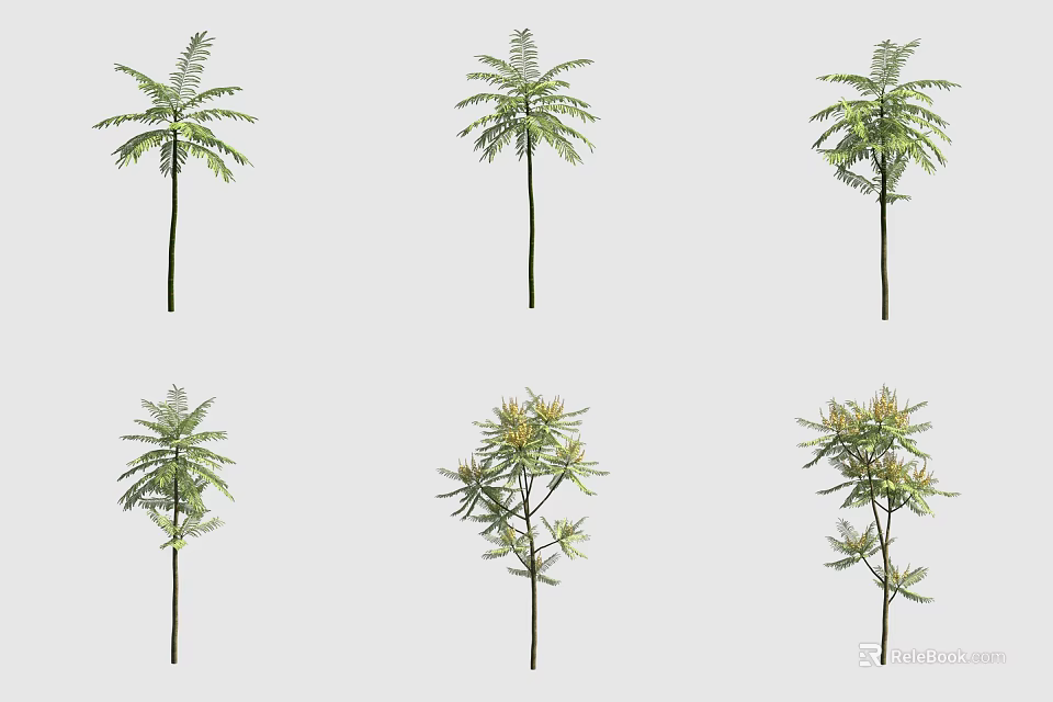 Various Arbor Tree Varieties With Diverse Leaf Shapes And Growth Forms 3d model