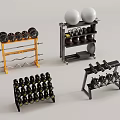 Organized Sports Equipment With Dumbbell Racks Dumbbells And Fitness Balls For Home Gym
