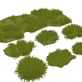 Green Ground Cover Clumps With Different Shapes and Sizes for Landscaping