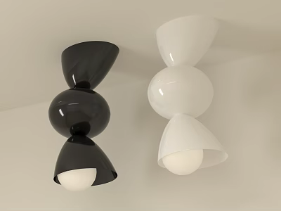 Modern Black and White Ceiling Lights with Unique Spherical and Cone Design 3d model
