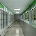 Green Themed Pharmacy Corridor Featuring Glass Medicine Cabinets And Windows With Trees Outside