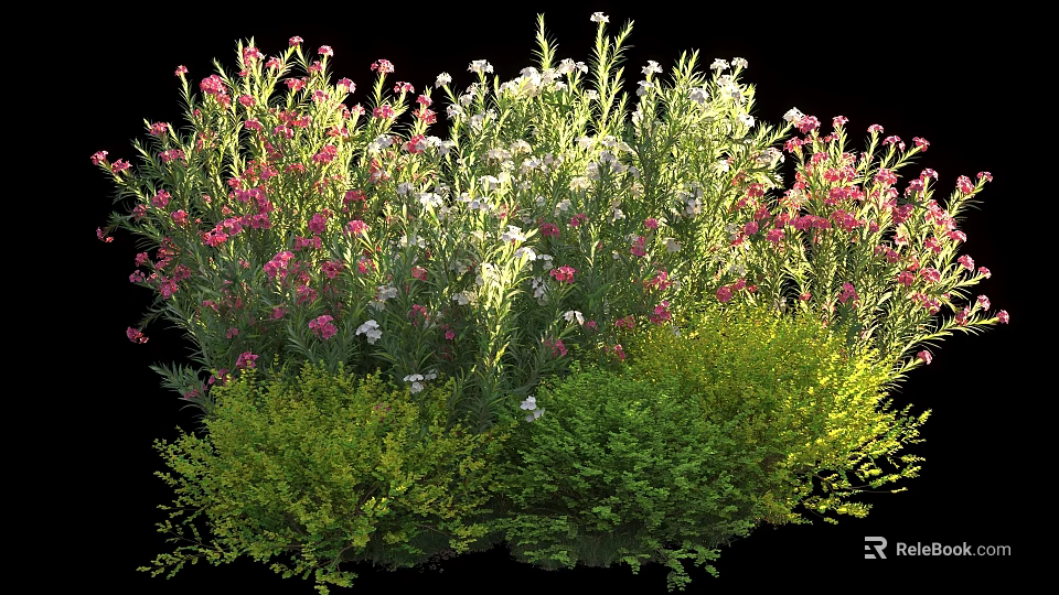 Colorful Garden Shrubs With Pink White Flowers And Lush Green Foliage 3d model 