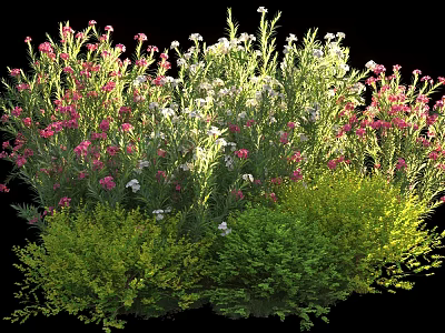 Colorful Garden Shrubs With Pink White Flowers And Lush Green Foliage 3d model