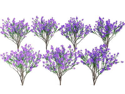 Vibrant Purple Lavender Flower Plants For Home And Garden Decoration 3d model