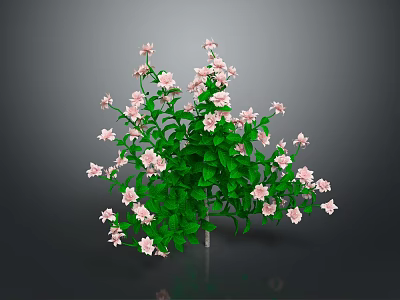 Elegant Vibrant Flowering Plant With Lush Green Leaves And Delicate Pink Flowers 3d model