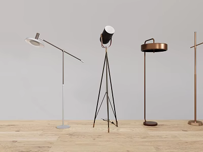 Modern Floor Lamps With Various Designs And Metal Bases On Wooden Floor 3d model