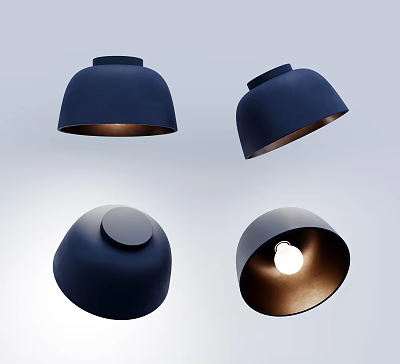 Modern Dark Blue Dome Shaped Ceiling Lights with Metallic Inner Surface and Exposed Bulb Design 3d model