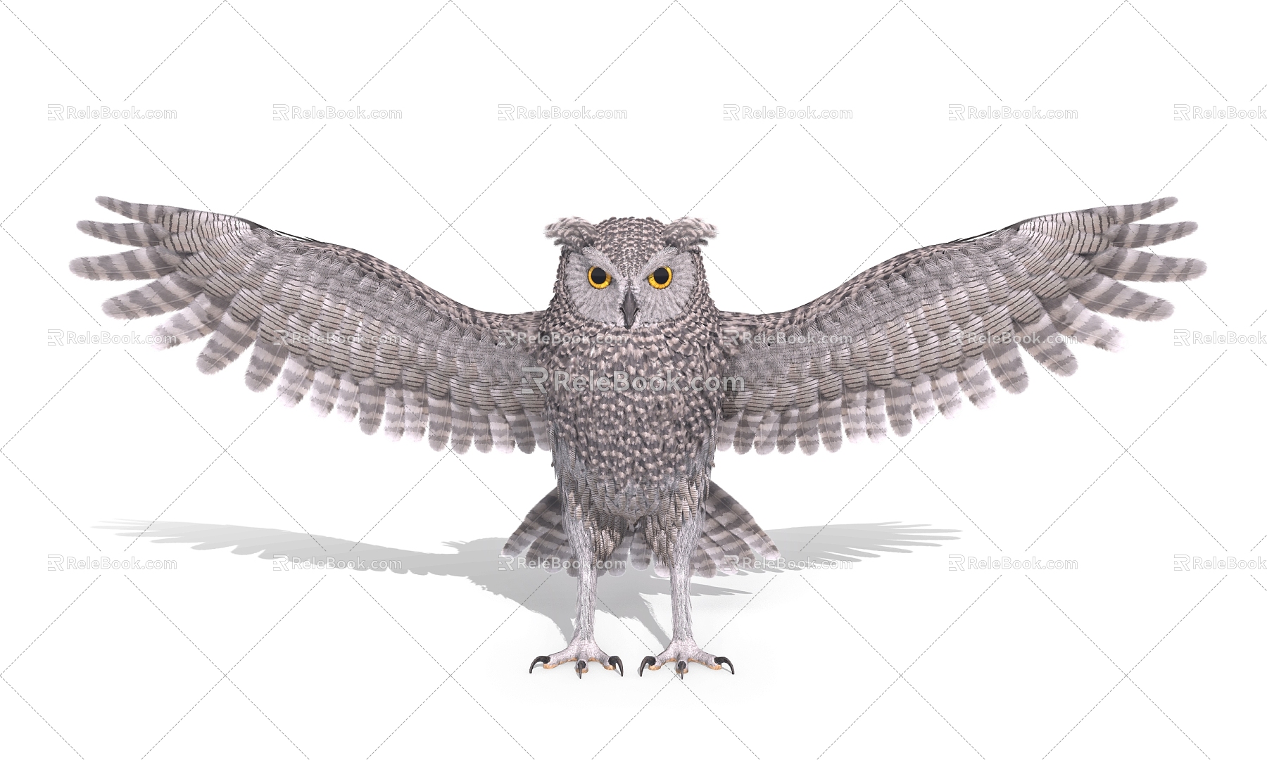 Owl Birds 3d model