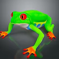 Striking Green Reptile With Red Eyes Orange Toes And Blue Yellow Body Patterns