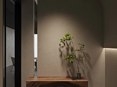 Minimalist Entryway Hallway Interior Design With Wooden Console Table Green Plant And Soft Lighting 3d model