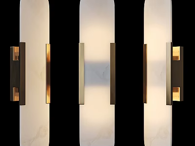 Elegant Modern Wall Sconces With Brushed Metal Frame And Frosted Glass Lighting Shade 3d model