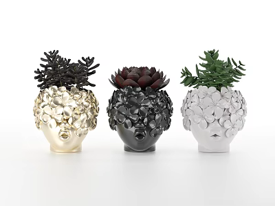 Modern Decorative Gold Black and White Petal Vases with Colorful Succulent Plants 3d model