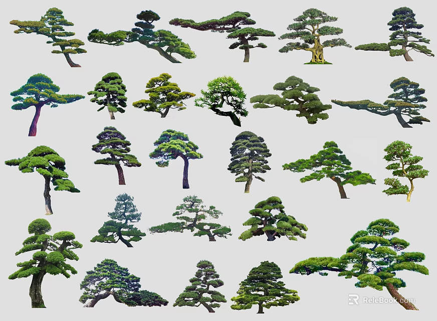 Diverse Plant Combination with Varied Tree Shapes for Garden Landscaping Design 3d model 