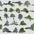 Diverse Plant Combination with Varied Tree Shapes for Garden Landscaping Design
