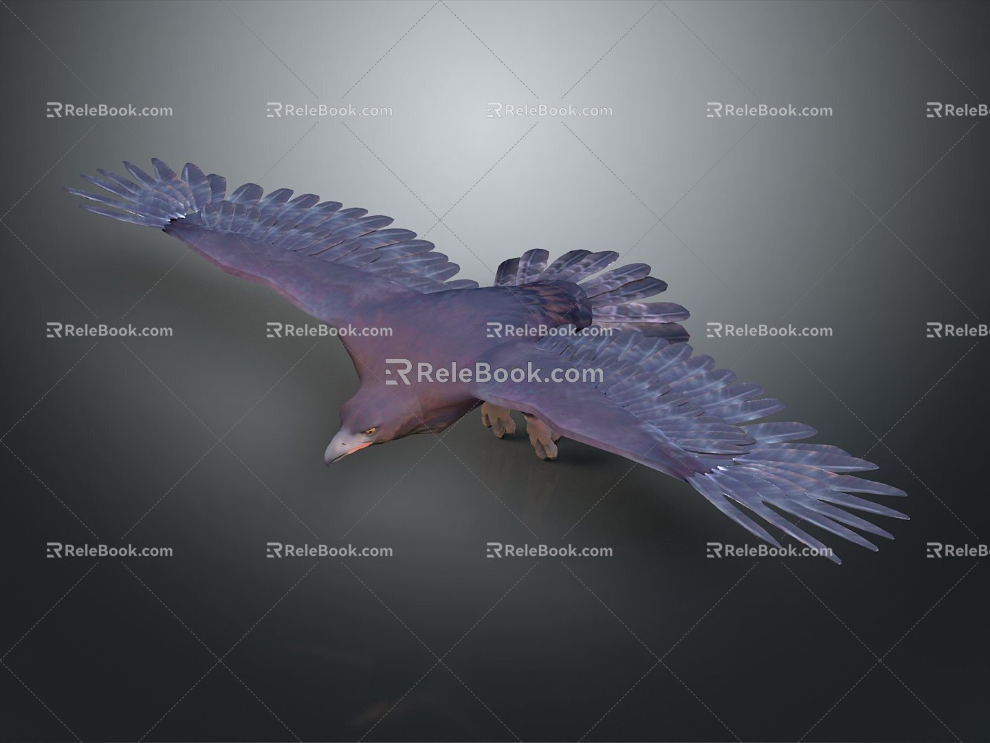 Eagle Large Eagle Owl Raptor Falcon Bird Bird Bird Animal Game Animal 3d model