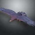 Eagle Large Eagle Owl Raptor Falcon Bird Bird Bird Animal Game Animal 3d model