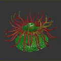 Colorful Sea Anemone With Long Tentacles Orange Center And Textured Yellow Green Base