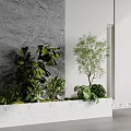 Indoor Plant Combination In White Rectangular Planter With Various Green Plants For Modern Minimalist Interior 3d model