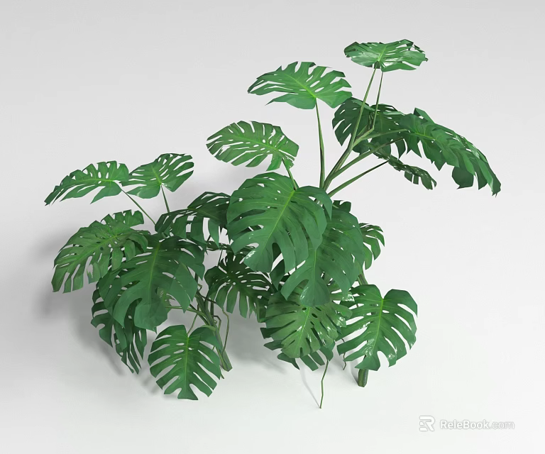 Lush Green Shrub With Large Tropical Leaves And Vibrant Foliage 3d model 